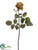 Confetti Rose Spray - Green Burgundy - Pack of 12