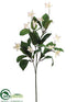 Silk Plants Direct Stephanotis Spray - Cream - Pack of 6