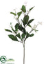 Silk Plants Direct Stephanotis Spray - White - Pack of 6