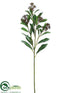Silk Plants Direct Skimmia Spray - Burgundy Green - Pack of 12