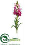 Silk Plants Direct Snapdragon Spray - Fuchsia Two Tone - Pack of 12