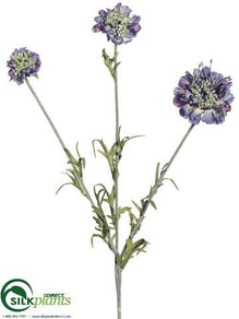 Scabiosa Spray - Blue Periwinkle - Pack of 12