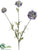Scabiosa Spray - Blue Periwinkle - Pack of 12