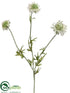 Silk Plants Direct Scabiosa Spray - Cream - Pack of 12