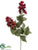 Salvia Spray - Burgundy Two Tone - Pack of 12