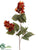 Salvia Spray - Red Rust - Pack of 12