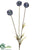 Scabiosa Spray - Blue - Pack of 12