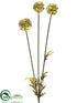 Silk Plants Direct Scabiosa Spray - Green - Pack of 12