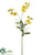 Sweet Pea Spray - Yellow - Pack of 12