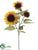 Sunflower Spray - Rust - Pack of 12