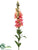 Snapdragon Spray - Pink - Pack of 12
