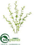 Silk Plants Direct Pussy Willow Spray - White - Pack of 12