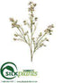Silk Plants Direct Wax Flower Spray - Cream White - Pack of 12
