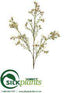 Silk Plants Direct Wax Flower Spray - Green Light - Pack of 12