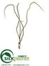 Silk Plants Direct Knotty Willow Branch - Green - Pack of 12