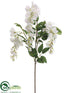 Silk Plants Direct Wisteria Spray - White - Pack of 12