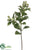 Eucalyptus Berry Spray - Sage Green - Pack of 12