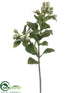 Silk Plants Direct Eucalyptus Berry Spray - Sage Green - Pack of 12