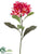 Frangipani Spray - Red Pink - Pack of 12