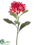 Silk Plants Direct Frangipani Spray - Red Pink - Pack of 12