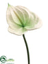 Silk Plants Direct Anthurium Spray - Cream - Pack of 12