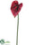 Anthurium Spray - Red - Pack of 12