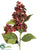 Lilac Hydrangea Spray - Burgundy - Pack of 12