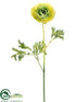 Silk Plants Direct Ranunculus Spray - Green - Pack of 12