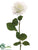 Lace Rose Spray - White - Pack of 12