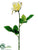 Silk Plants Direct Rose Spray - Yellow Soft - Pack of 24