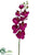 Phalaenopsis Orchid Spray - Orchid - Pack of 12