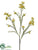 Waxflower Spray - Yellow - Pack of 12