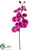 Phalaenopsis Orchid Spray - Violet - Pack of 12