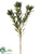 Wild Protea Spray - Green - Pack of 12