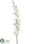 Dendrobium Orchid Spray - Cream - Pack of 12