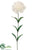 Carnation Spray - Cream - Pack of 12