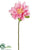 Lotus Bloom Spray - Pink - Pack of 12
