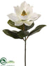 Silk Plants Direct Magnolia Spray - Cream - Pack of 12