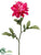 Dahlia Spray - Cerise Two Tone - Pack of 12