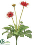Silk Plants Direct Wild Gerbera Daisy Bush - Orange - Pack of 4
