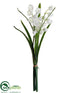 Silk Plants Direct Lily of the Valley Bundle - White - Pack of 24