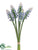 Muscari Bunch - Blue - Pack of 12