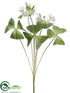Silk Plants Direct Oxalis Bush - Green - Pack of 12