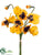 Pansy Bush - Yellow Gold - Pack of 12
