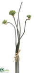 Silk Plants Direct Allium Bundle - Cream Green - Pack of 12