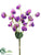 Sweet Pea Bundle - Lavender - Pack of 12