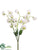 Sweet Pea Bundle - White - Pack of 12