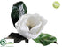 Silk Plants Direct Magnolia - White - Pack of 12