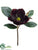 Magnolia Pick - Burgundy - Pack of 12