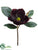 Magnolia Pick - Burgundy - Pack of 12